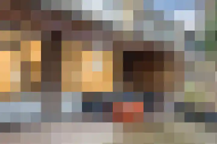 Botteliersdreef 65 Cuijk thumbnail 21