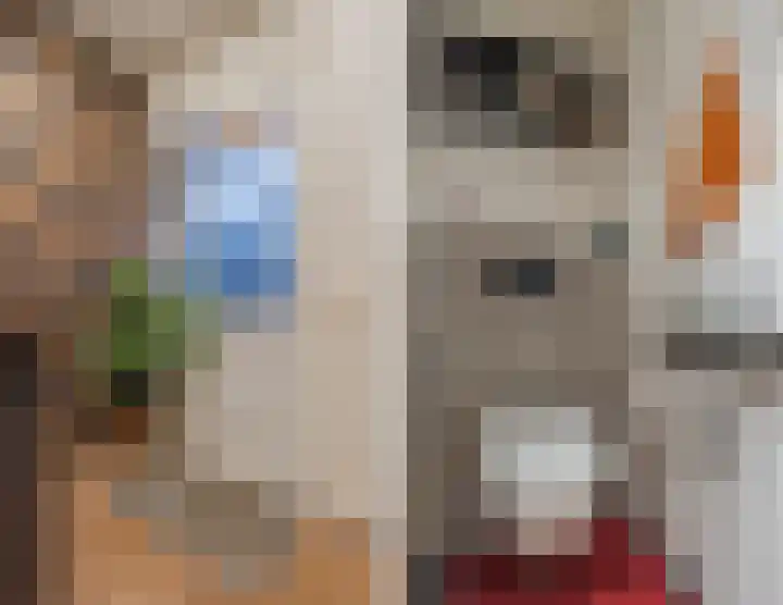 Botteliersdreef 65 Cuijk thumbnail 4