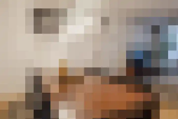 Botteliersdreef 65 Cuijk thumbnail 6