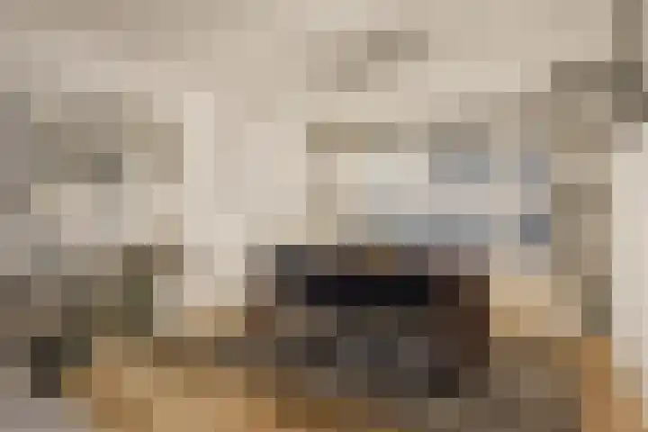 Botteliersdreef 65 Cuijk thumbnail 7