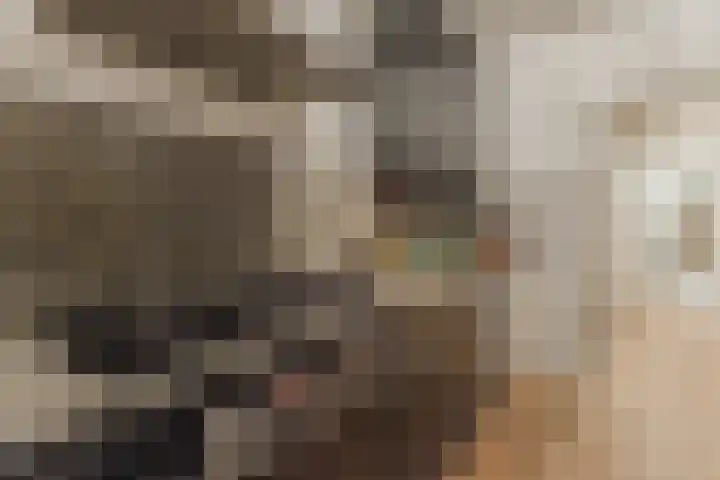 Botteliersdreef 65 Cuijk thumbnail 8