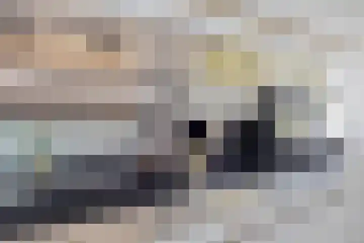 Bottelierwei 2 Valkenswaard thumbnail 17