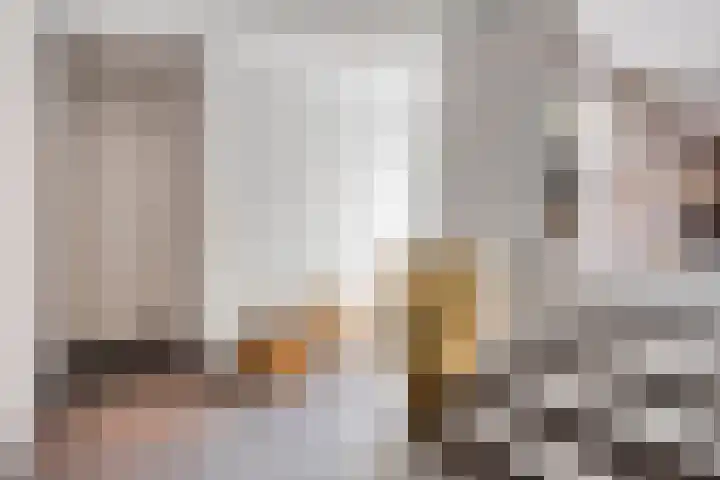 Bottelierwei 2 Valkenswaard thumbnail 19