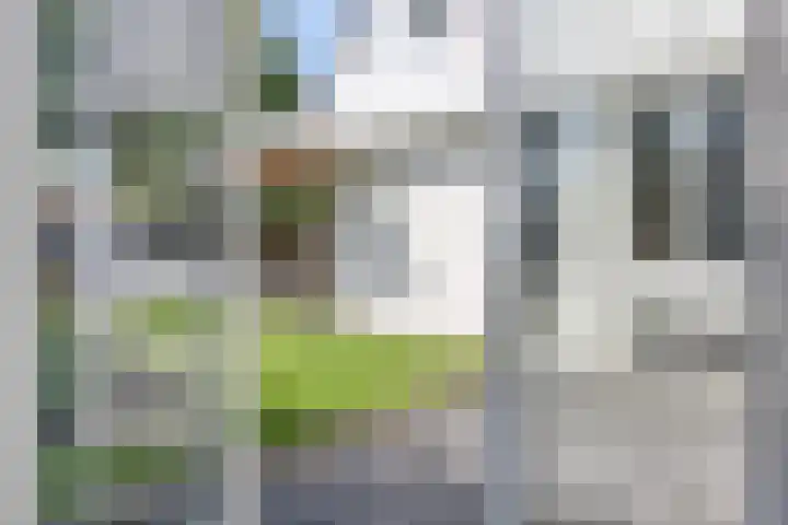 Bottelierwei 2 Valkenswaard thumbnail 25