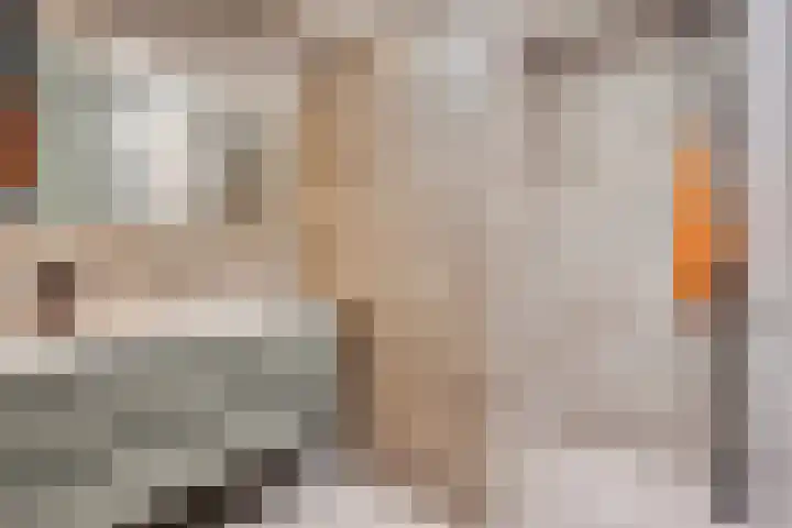 Bottelierwei 2 Valkenswaard thumbnail 26
