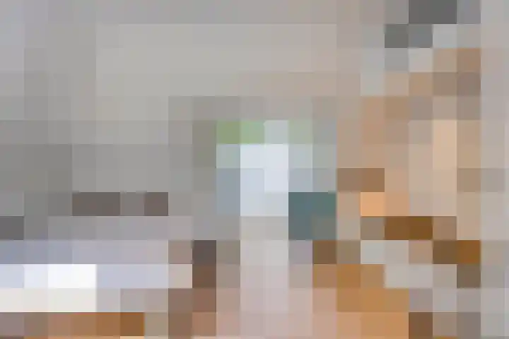 Bottelierwei 2 Valkenswaard thumbnail 32