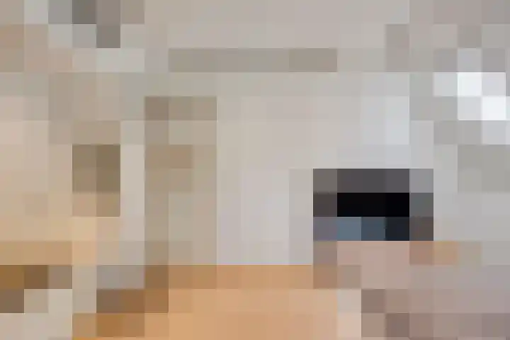 Bottelierwei 2 Valkenswaard thumbnail 33