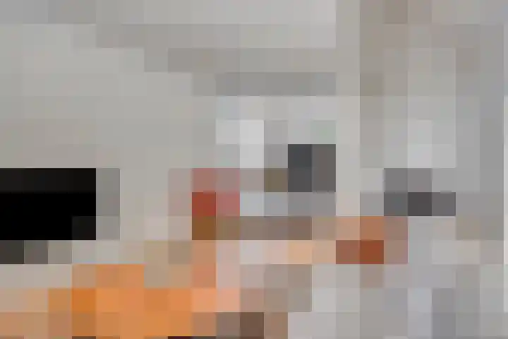 Bottelierwei 2 Valkenswaard thumbnail 4