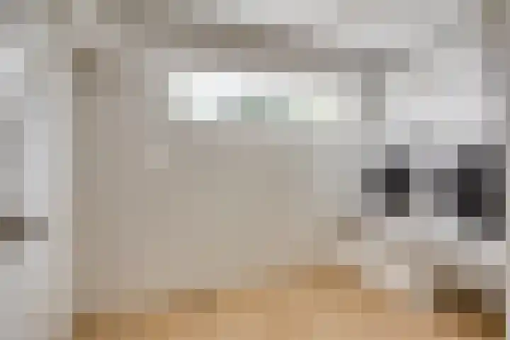 Bottelierwei 2 Valkenswaard thumbnail 45