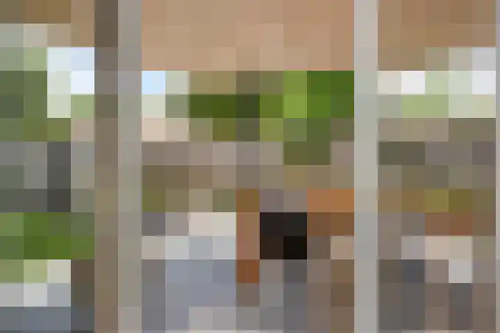Bottelierwei 2 Valkenswaard thumbnail 46