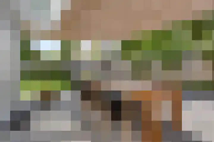 Bottelierwei 2 Valkenswaard thumbnail 47