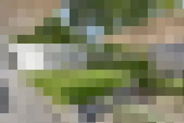 Bottelierwei 2 Valkenswaard thumbnail 49