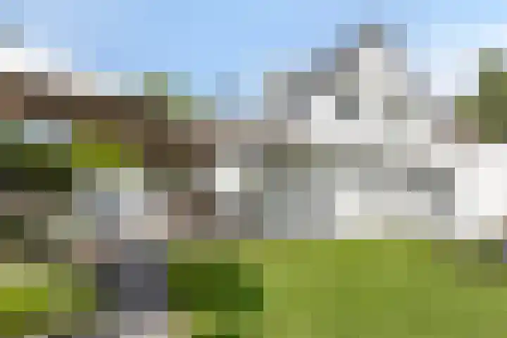 Bottelierwei 2 Valkenswaard thumbnail 50