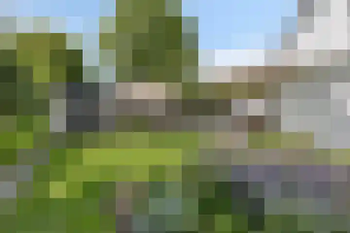 Bottelierwei 2 Valkenswaard thumbnail 51