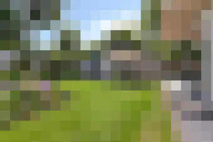 Bottelierwei 2 Valkenswaard thumbnail 52