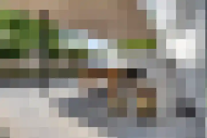 Bottelierwei 2 Valkenswaard thumbnail 53