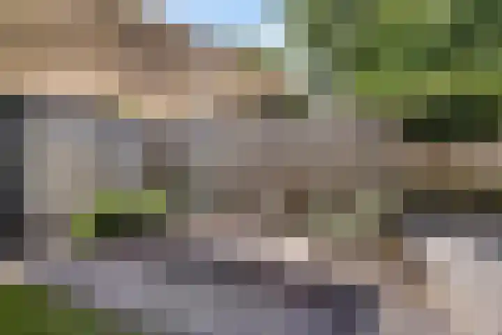 Bottelierwei 2 Valkenswaard thumbnail 54