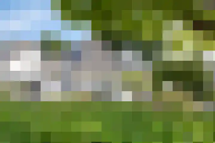 Bottelierwei 2 Valkenswaard thumbnail 55
