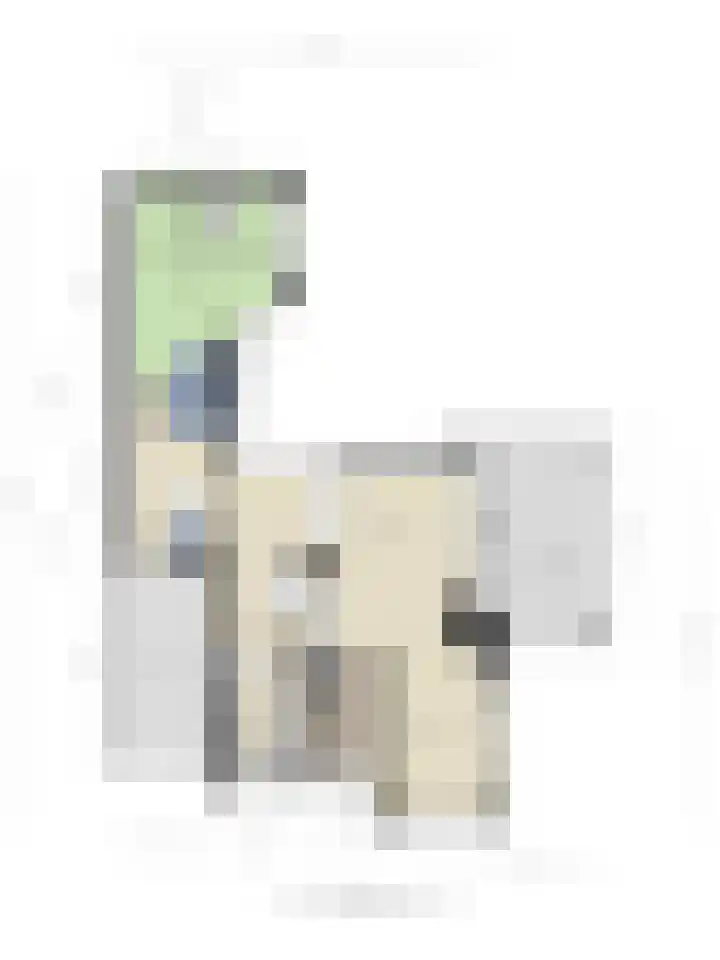 Bottelierwei 2 Valkenswaard thumbnail 57