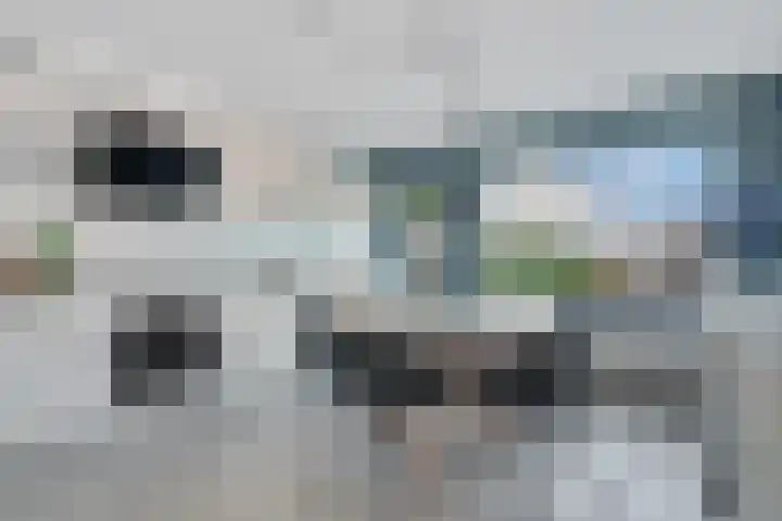 Bottelroos 25 Dedemsvaart thumbnail 10