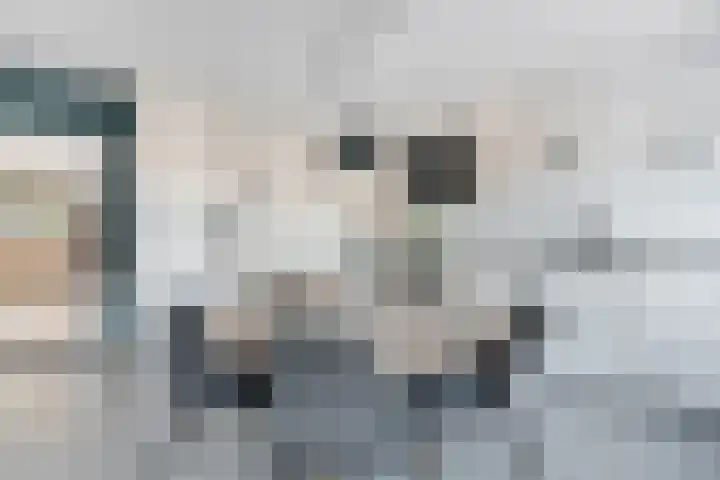 Bottelroos 25 Dedemsvaart thumbnail 11