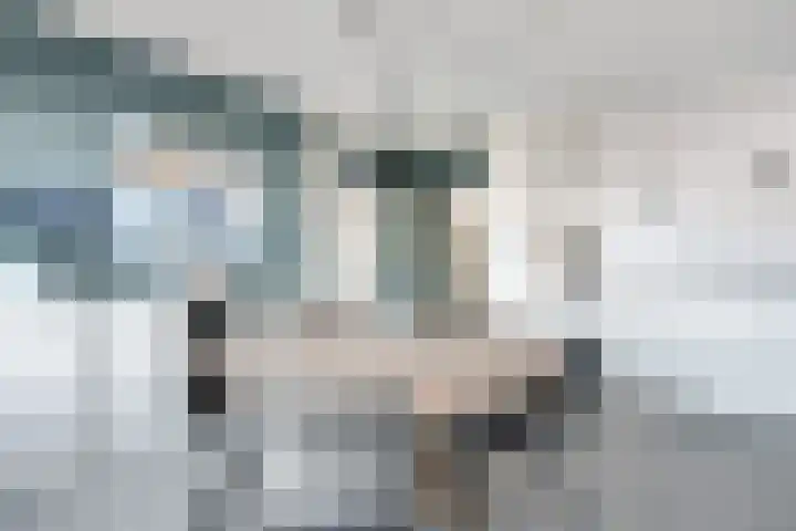 Bottelroos 25 Dedemsvaart thumbnail 12