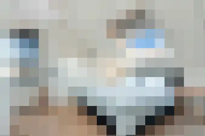Bottelroos 25 Dedemsvaart thumbnail 19