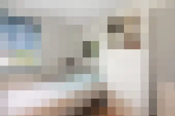 Bottelroos 25 Dedemsvaart thumbnail 22