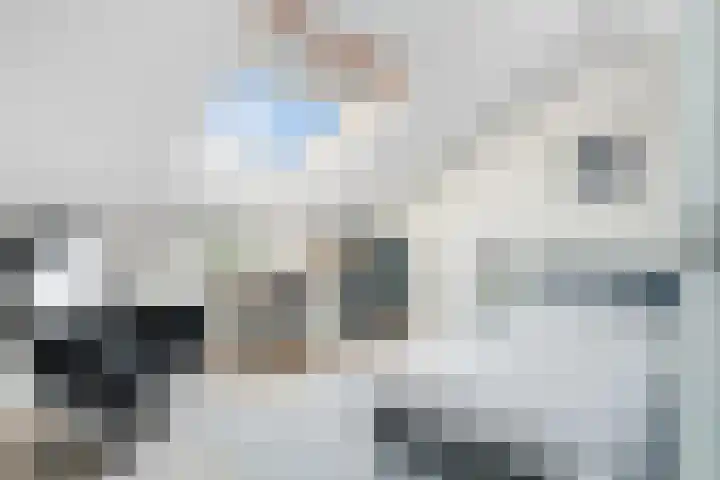 Bottelroos 25 Dedemsvaart thumbnail 23