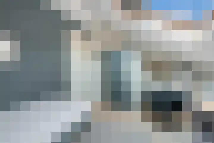 Bottelroos 25 Dedemsvaart thumbnail 24