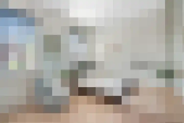 Bottelroos 25 Dedemsvaart thumbnail 25