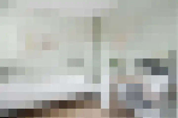 Bottelroos 25 Dedemsvaart thumbnail 26