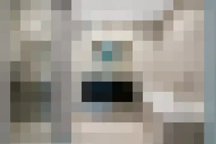 Bottelroos 25 Dedemsvaart thumbnail 27