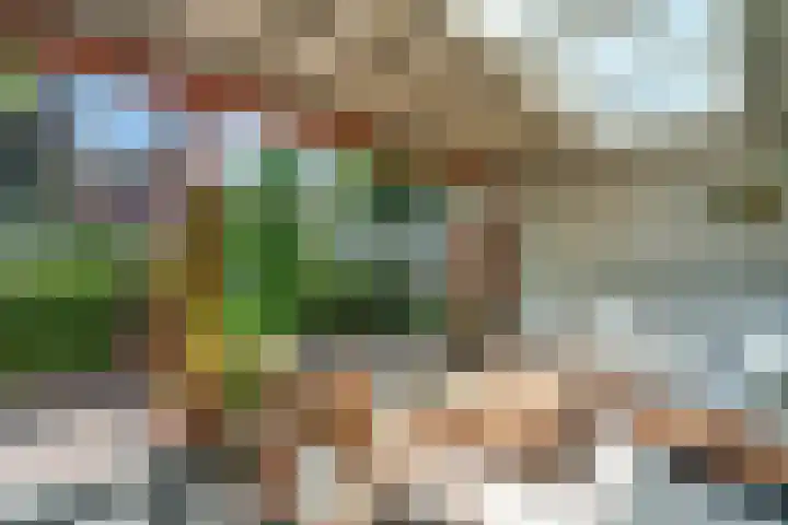 Bottelroos 25 Dedemsvaart thumbnail 29