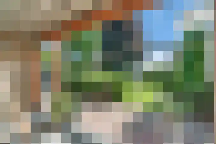Bottelroos 25 Dedemsvaart thumbnail 30