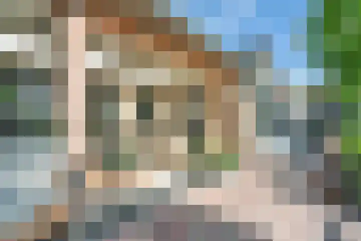 Bottelroos 25 Dedemsvaart thumbnail 31