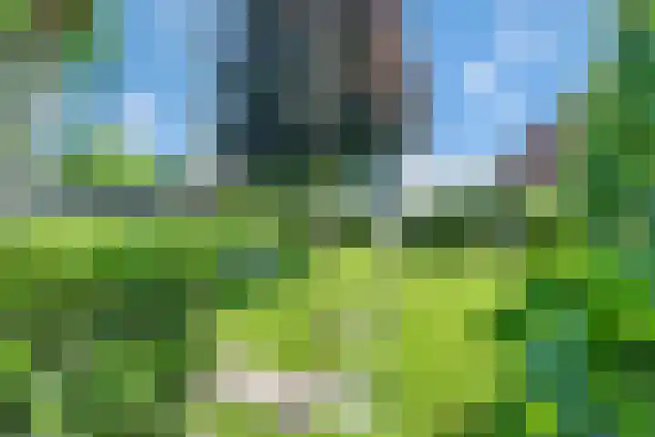 Bottelroos 25 Dedemsvaart thumbnail 32