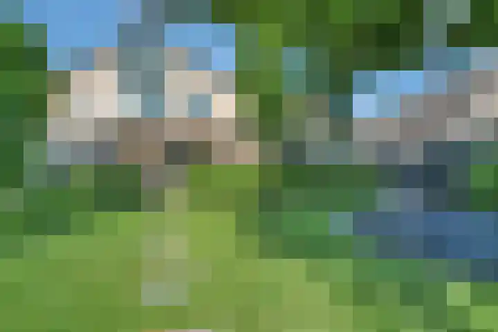 Bottelroos 25 Dedemsvaart thumbnail 33