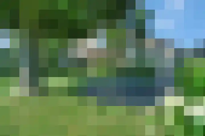 Bottelroos 25 Dedemsvaart thumbnail 34