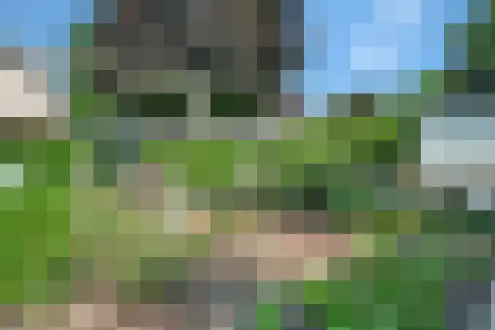 Bottelroos 25 Dedemsvaart thumbnail 35