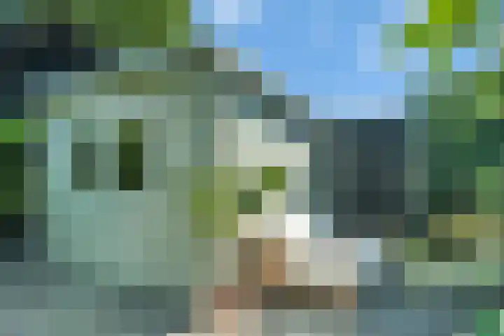 Bottelroos 25 Dedemsvaart thumbnail 36