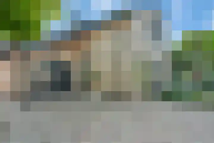 Bottelroos 25 Dedemsvaart thumbnail 37