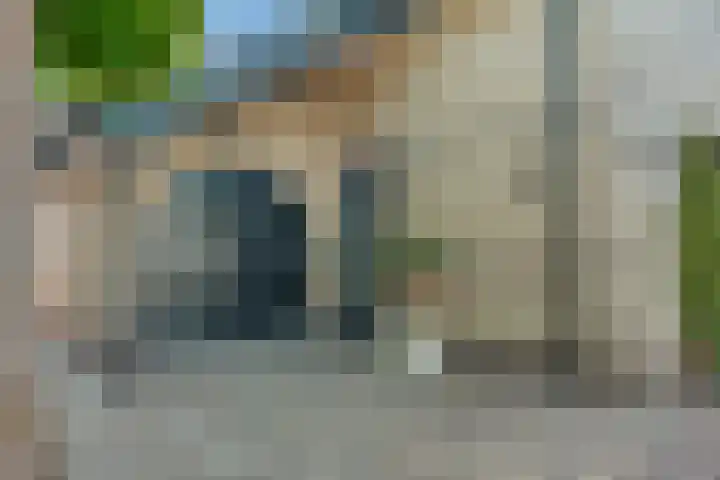 Bottelroos 25 Dedemsvaart thumbnail 38