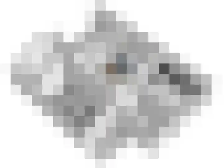 Bottelroos 25 Dedemsvaart thumbnail 42
