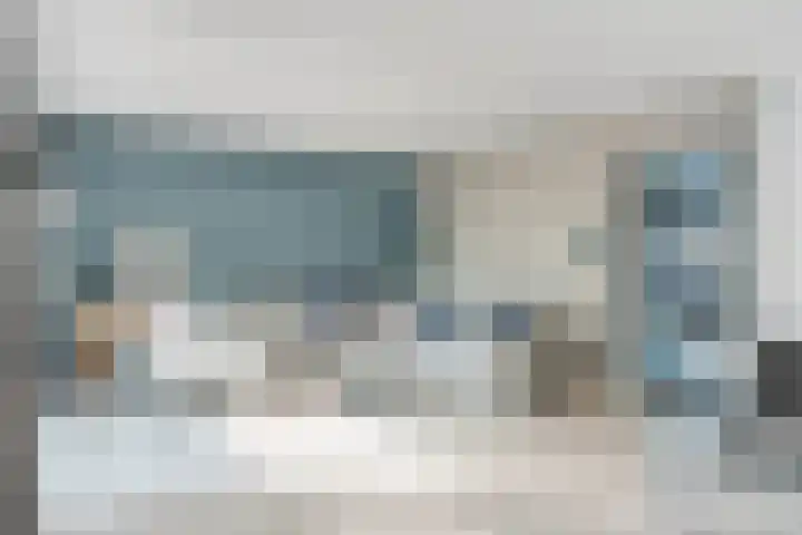 Bottelroos 25 Dedemsvaart thumbnail 5
