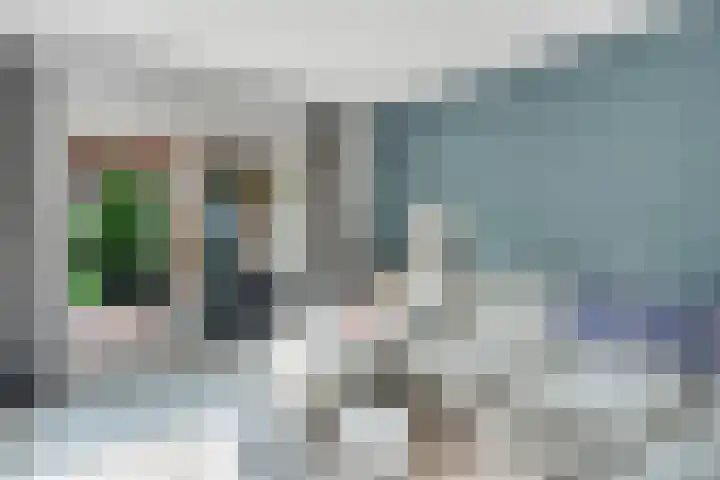 Bottelroos 25 Dedemsvaart thumbnail 6