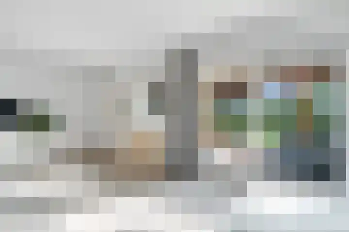 Bottelroos 25 Dedemsvaart thumbnail 7