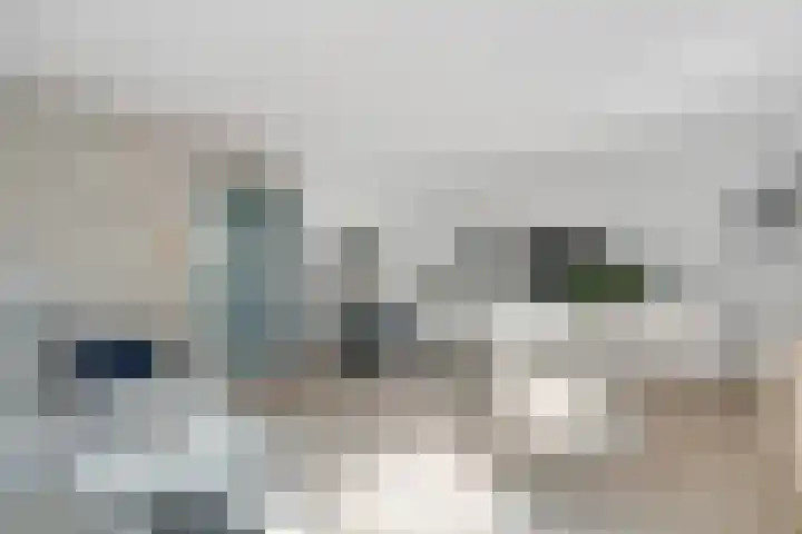 Bottelroos 25 Dedemsvaart thumbnail 8