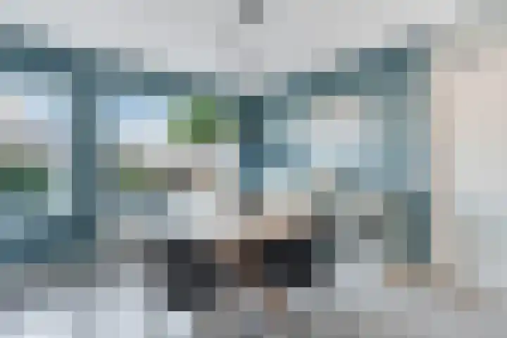 Bottelroos 25 Dedemsvaart thumbnail 9