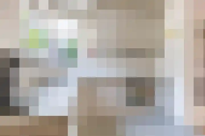 Bottelroos 4 Leiden thumbnail 11